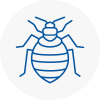Bed Bug Extermination In E17