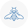 Bee Nest Removal E17