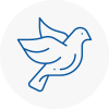 Bird Prevention E17