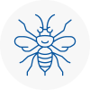 E17 Hornet Nest Removals