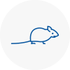 Mice Exterminators In E17