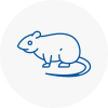 Rat Control E17