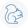 E17 Rodent Removals
