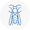 E17 Wasp Nest Removal